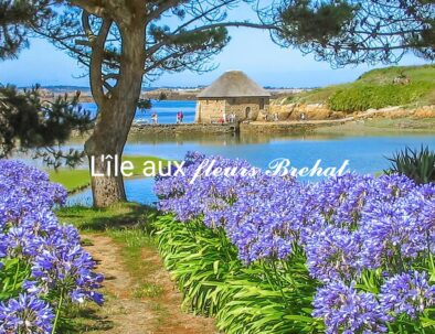 ile-de-brehat-1